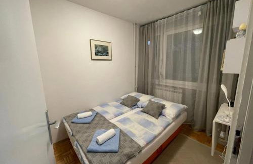 Ami-go/ Blizu zračne luke Zagreb - Foto 10