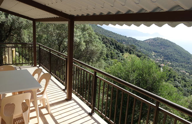 Camelia- Marjolène - Foto 4