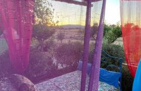 Monte da Freira - Foto 60