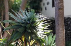 La Casita de la Vega - Foto 45