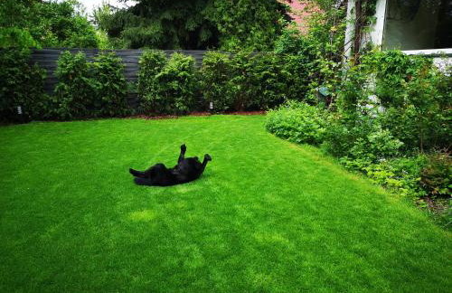 Spacious 3 Bedroom Family Oasis with Sauna, 20 min from Warsaw - Foto 20