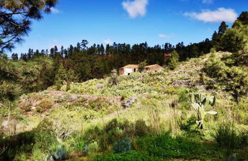 Tierrazul Art Boutique White Nordic Suite - Foto 35