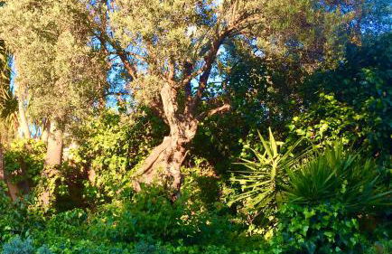 Villa Tramuntana - Foto 40