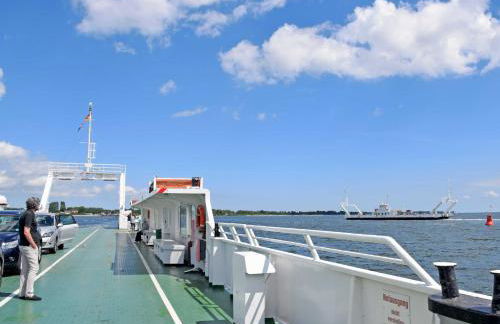 Ferienhaus Falkenhagen mit Garten - Foto 9