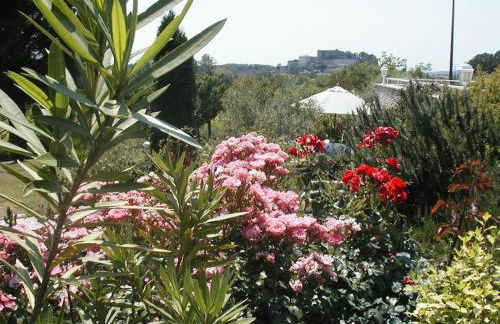 L’Olivier - Foto 33