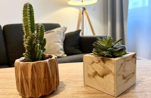 Studio centre historique RDC - WIFI - Foto 3