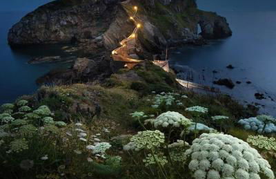 Bermeo y Urdaibai - PARKING-Ascensor - WIFi - tranquilo - Foto 34