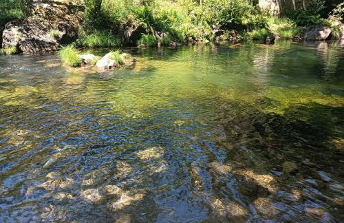 A Parrula, Mar, río y montaña - Foto 27