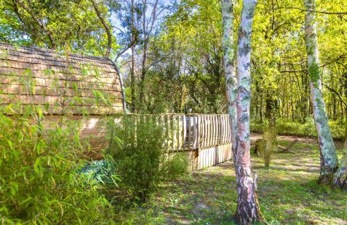 Otonneauxstress - Vigneron - Foto 23