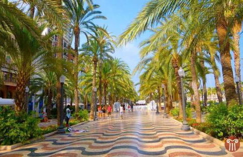 Apartamento GREEN VIEWS CENTRO DE ALICANTE - Photo 22