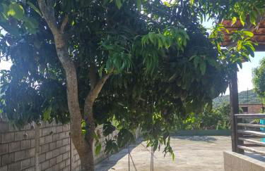 Sítio em Pedro Leopoldo - Foto 35