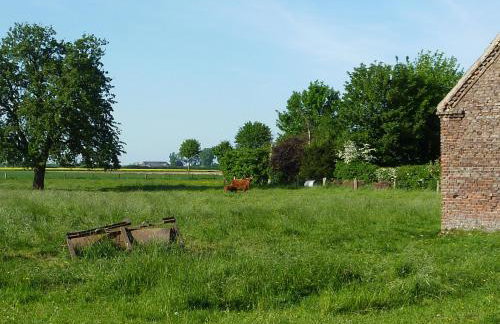 Rhinkieker Rees - Photo 11