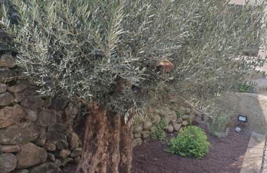 " Les copains d'abord " - Foto 20