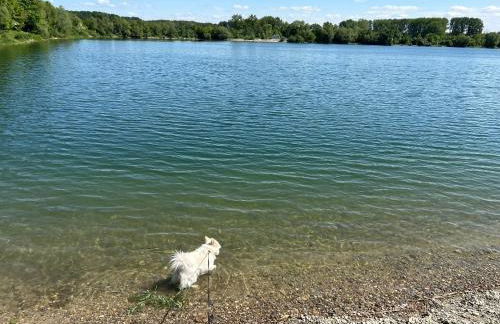 Holzliebe mit Donaublick - Foto 28