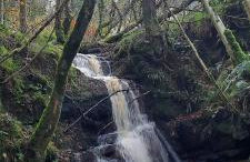 Holllie View - Foto 6