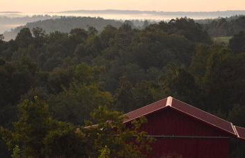 Secluded Cabin on Organic Working Farm in the Ozarks of Northern Arkansas - Foto 11