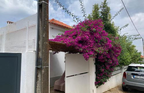 Vila Nogueira De Azeitao - Amaral's Guest Houses - Foto 21