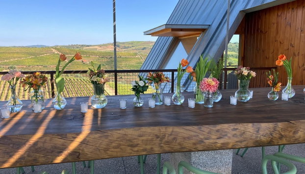 QUINTA DA FAISCA - Agro Turismo - Foto 5, Refeições no quarto