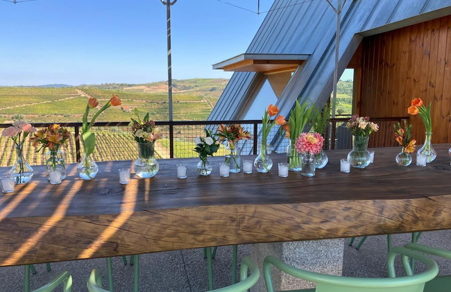 QUINTA DA FAISCA - Agro Turismo - Foto 5