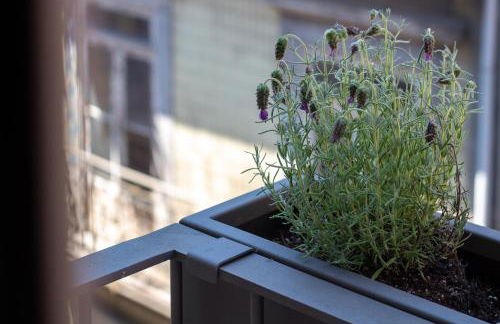 Verde Almada 3d by LovelyStay - Foto 29