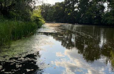 Kleines Glück - Foto 25