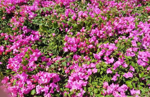 Villa Eleonora - Photo 35