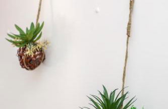 Le Provençale : Plages, Balcon, Clim - Foto 29