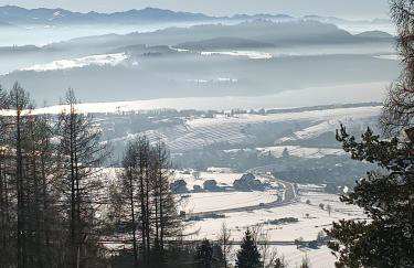 Słoneczny Domek - Foto 29