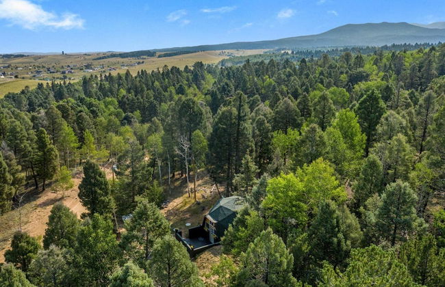 Crystal Cabin Pikes Peak Mountain w/ Wine Cellar - Foto 53