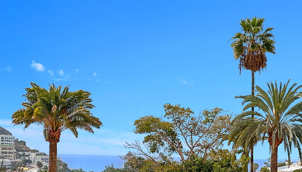 Laguna Apartments - Foto 5