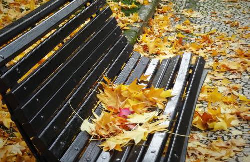 Douro - A Casinha da Ana - Photo 8