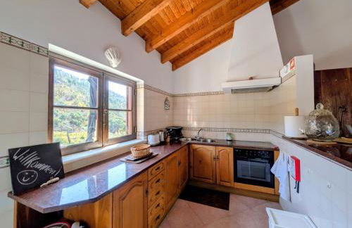 Vale dos Sentidos - Foto 58