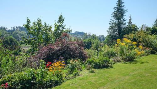 Gästehaus Albero - Foto 2, Garden view
