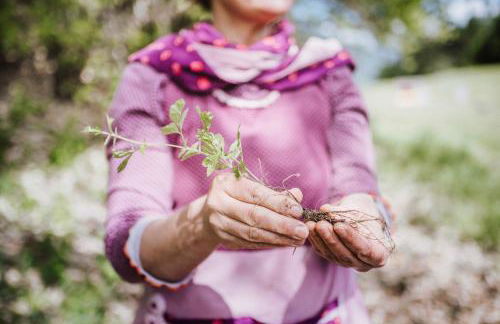 Alpimena Natur-Apartments Meran - Foto 41