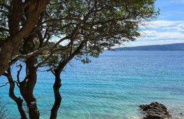 Apartments Bernarda - Foto 28