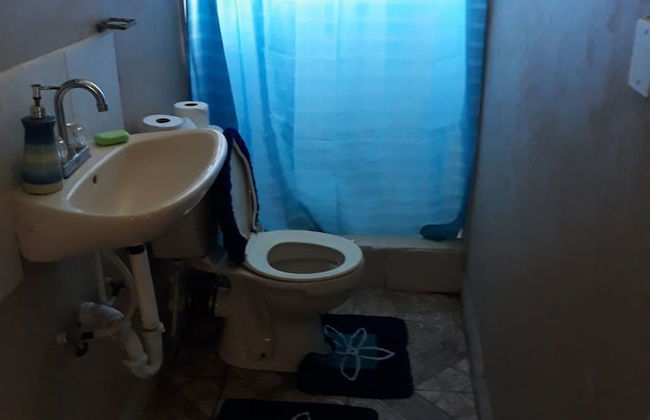 Home Style Apartments - Photo 6