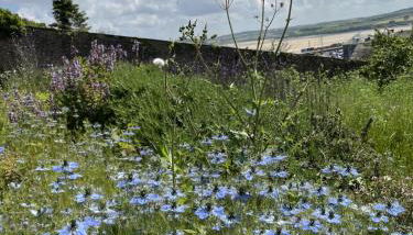 2 Bedrooms overlooking Little Petherick Creek - Foto 4