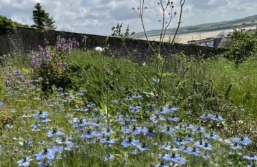 2 Bedrooms overlooking Little Petherick Creek - Foto 4