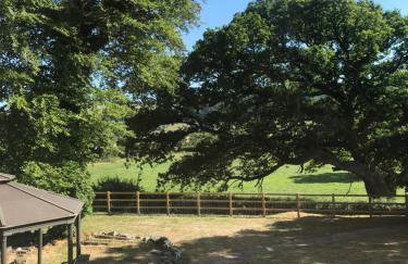 Aberystwyth, Pentre Farmhouse, - Foto 19