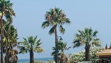 Canela Garden - Foto 3