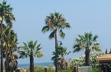 Canela Garden - Foto 1