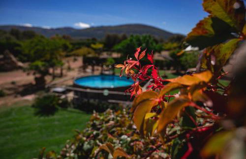Finca Los Pajaros cerca de Puy du fou Toledo - Foto 7