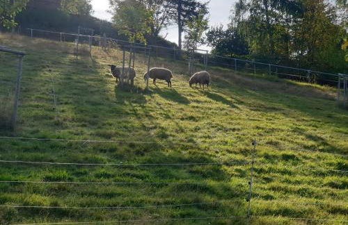 Erzgebirgshütte - Photo 25