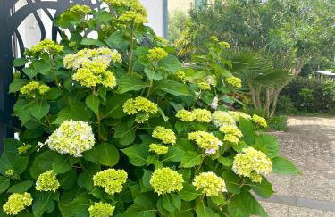 Room TARA Malinska - Foto 17