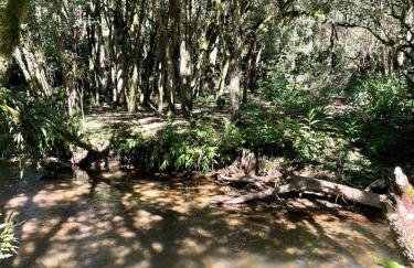 Memora Guesthouse Bateias - Casa Inteira e quartos em chácara - Foto 44