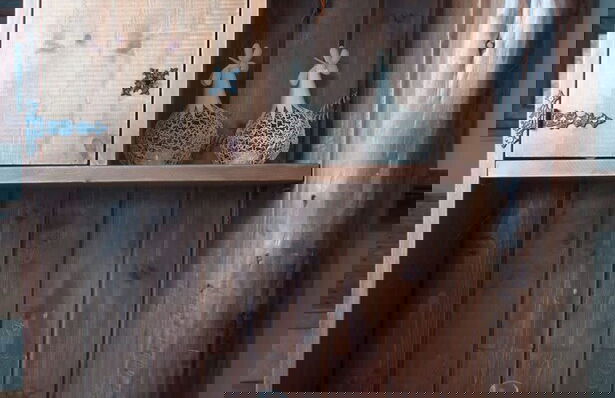 Authenticity of Living in Mani for Nature Lovers - Foto 19