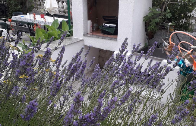 Holiday House Perkic mm - Photo 35