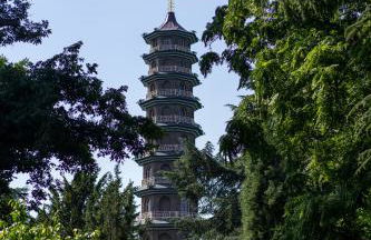 Beautiful West London House - Foto 9