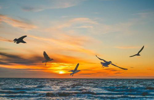 Casa increíble en la playa frente al campo de golf - Foto 51
