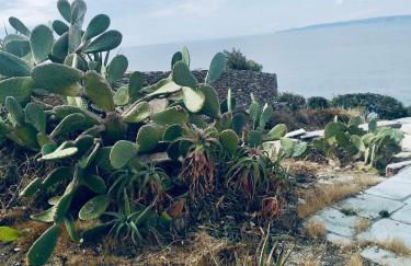 House by the sea in Kea Cyclades - Foto 13